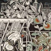 Edward Bawden